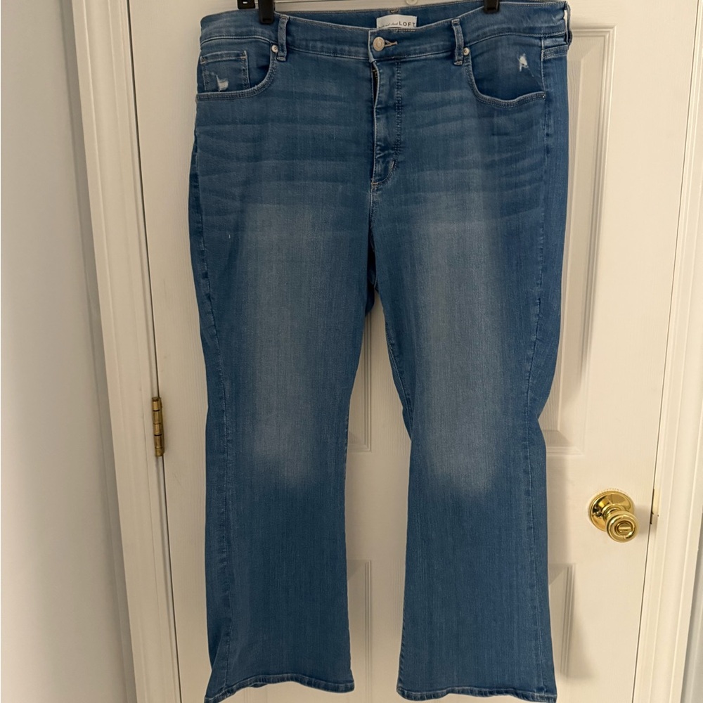 LOFT Classic Blue Jeans “The Boot” - Size 18P